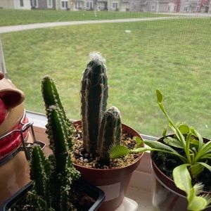 Meet your Posher, Joseph